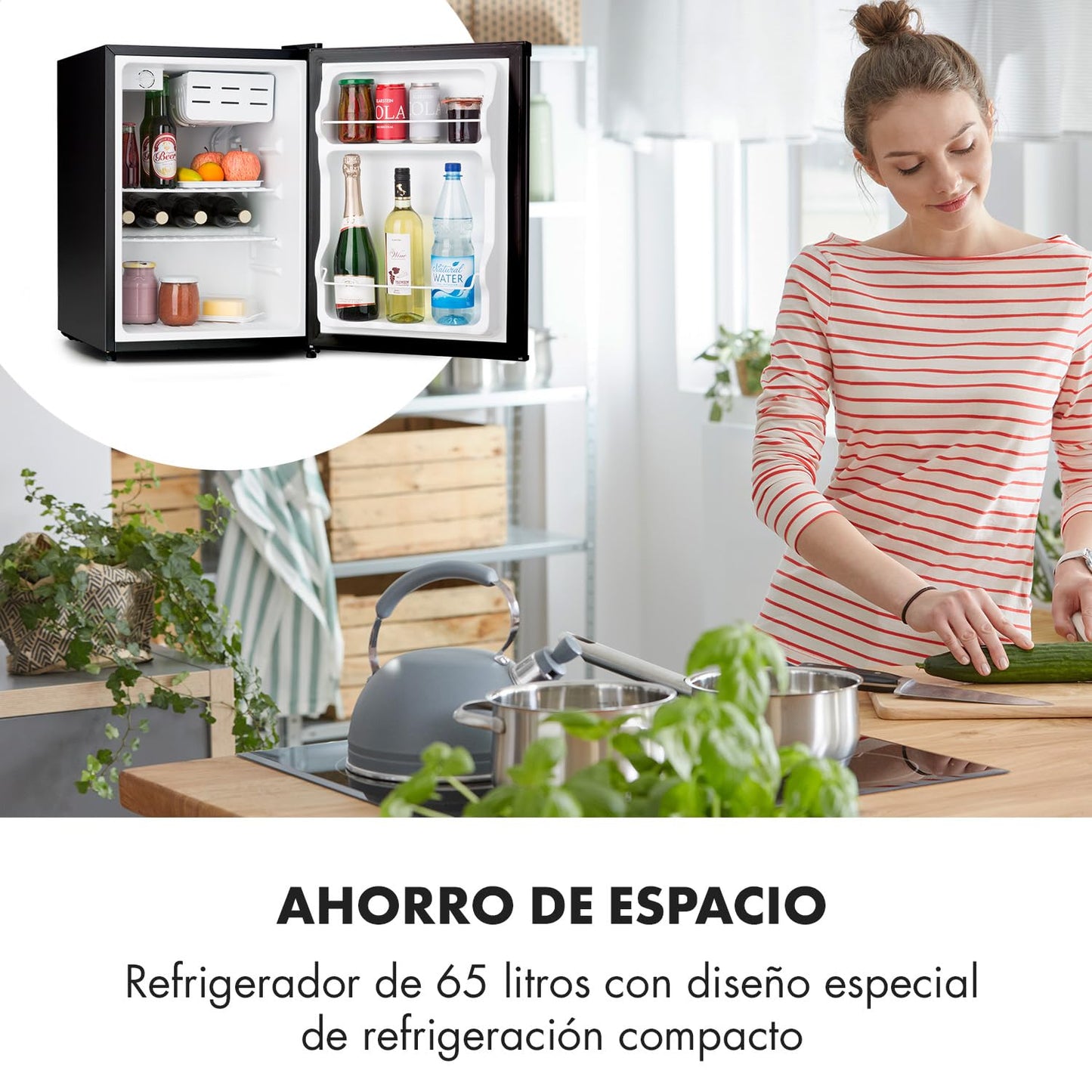 Mini Nevera Eléctrica Silenciosa 65L – Refrigerador Compacto de Bajo Consumo para Oficina, Dormitorio, Caravana o Cosméticos – Termostato Regulable 0–10 °C – Color Negro